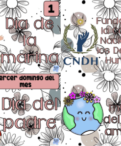 Un collage con cuatro paneles ilustrados: un marinero para el “Día de la Marina”, un papá superhéroe para el “Día del Padre”, una Tierra con flores para el “Día Mundial del Medio Ambiente” y un logo para la Fundación de la Comisión Nacional de los Derechos Humanos.